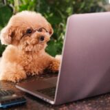 プログラミング用語がややこしい理由3選！