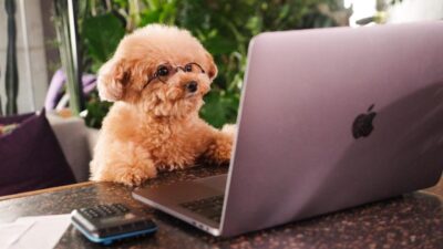 プログラミング用語がややこしい理由3選！